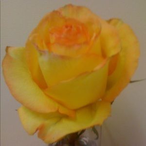 Meet your Posher, Sonia